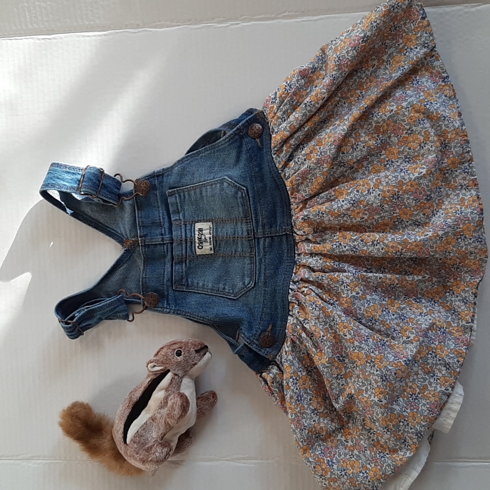 Oshkosh Jumper Dress
